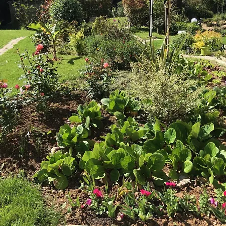 Dom wakacyjny Maison Blanche En Cote De Nacre *