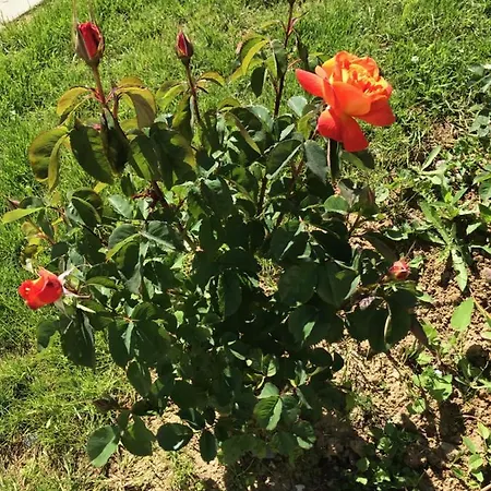 Maison Blanche En Cote De Nacre Dom wakacyjny