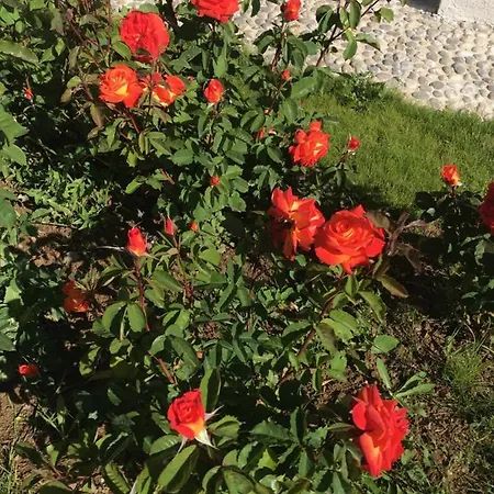 Maison Blanche En Cote De Nacre Mathieu
