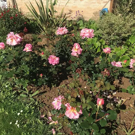 Maison Blanche En Cote De Nacre Dom wakacyjny Mathieu