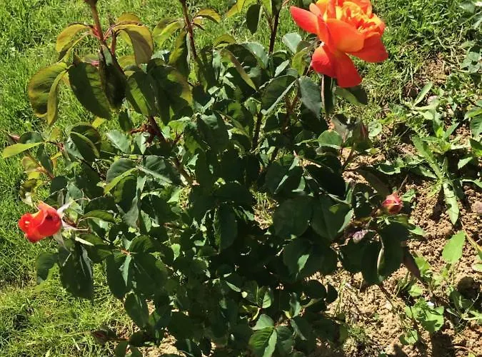 Maison Blanche En Cote De Nacre Nyaraló