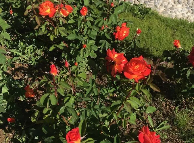 Maison Blanche En Cote De Nacre Mathieu
